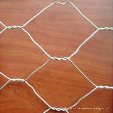 Materiales de construcción Galvanized Hexagonal Wire Mesh Netting (Anjia-105)